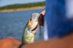 Load image into Gallery viewer, ORANGE FLASH - Jelifish USA Snagless Crappie Bomb®
